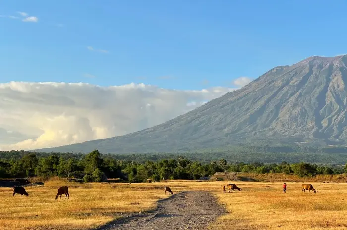 Savana Tianyar Karangasem Pesona Padang Rumput Eksotis di Bawah Naungan Gunung Agung