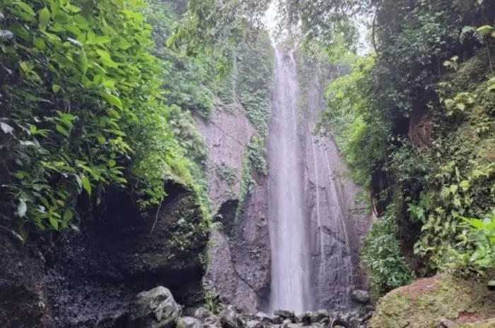 Curug Nangka, Air Terjun Tersembunyi di Tengah Hutan Tropis Gunung Salak Bogor