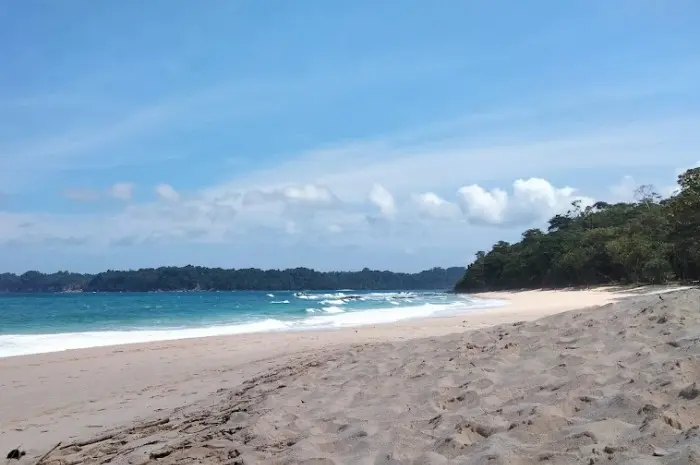 Pantai Sendiki, Menikmati Keindahan Lautan yang Menakjubkan di Malang